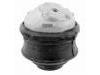 發(fā)動機支架膠墊 Engine Mount:211 240 27 17