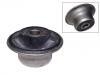 懸架襯套 Suspension Bushing:321 501 541