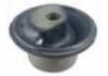 懸架襯套 Suspension Bushing:377 501 541