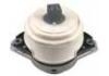 發(fā)動(dòng)機(jī)支架膠墊 Engine Mount:166 240 77 17