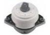 發(fā)動(dòng)機(jī)支架膠墊 Engine Mount:166 240 79 17