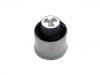 懸架襯套 Axle Body Mounting:1J0 501 541 C