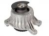 發(fā)動機支架膠墊 Engine Mount:213 240 25 00